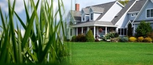 Lawn Care Service Julington Creek Plantation