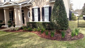 julington creek plantation, aberdeen, world golf village, new landscape install