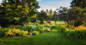 lawn garden maintenance st johns fl