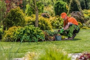 lawn care service st johns fl