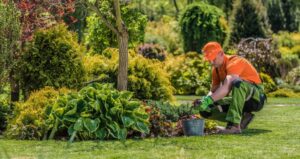 lawn care julington creek plantation fl