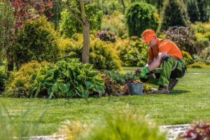 landscape designer fruit cove fl