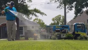 lawn care nocatee fl