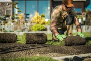 sod installation st johns fl