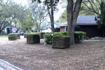 Sod Installation