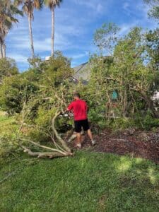 demo clean up st johns fl