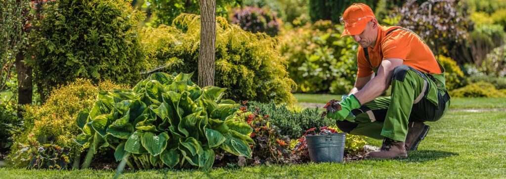 landscaping st johns county fl