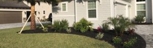 Landscape Designer St Johns FL